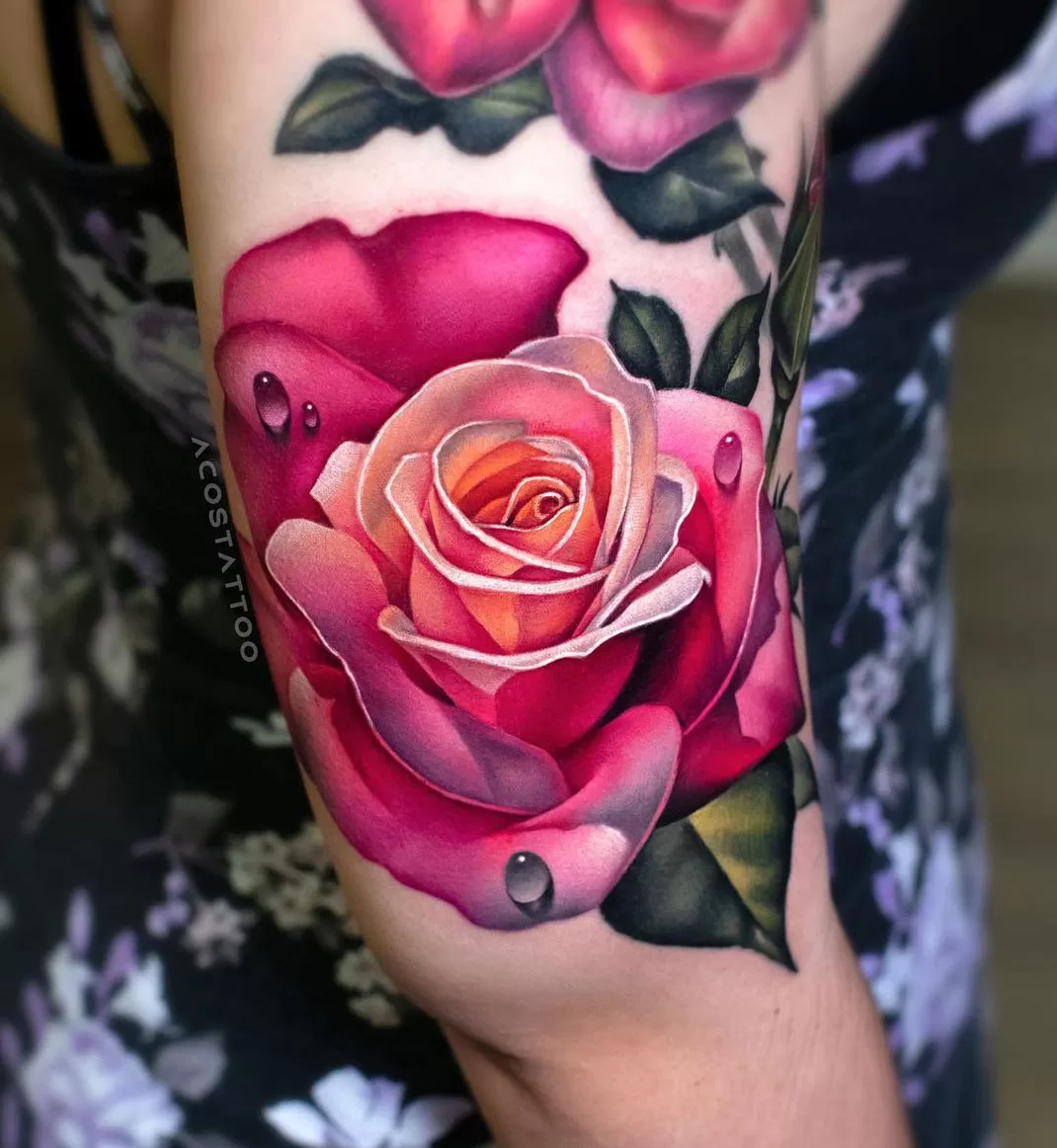 Pink-Rose