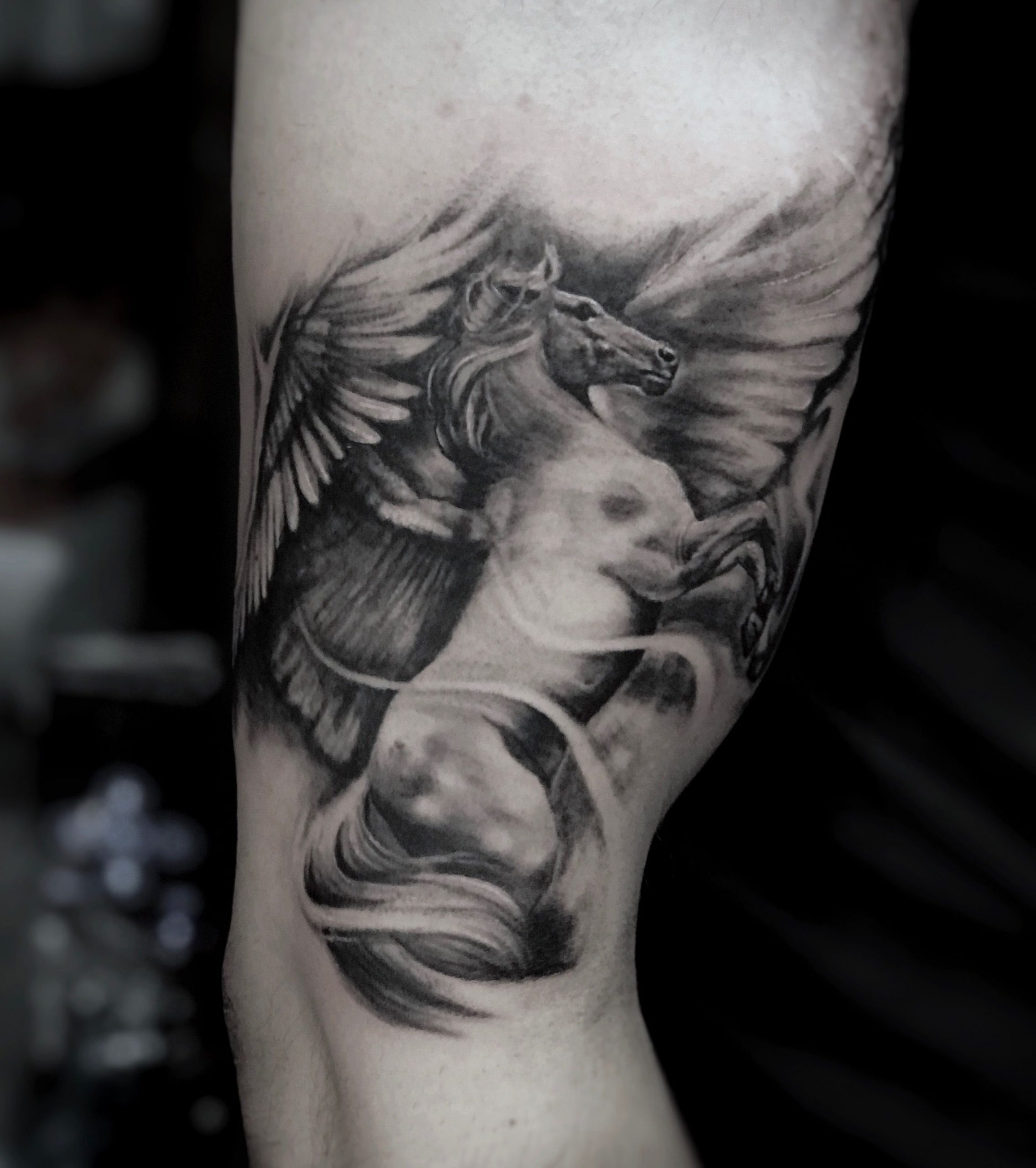Pegasus Tattoo
